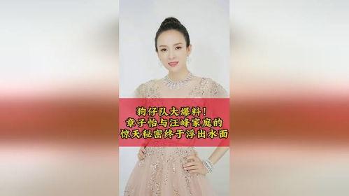 狗仔爆料汪峰章子怡视频,娱乐圈再掀波澜  第2张