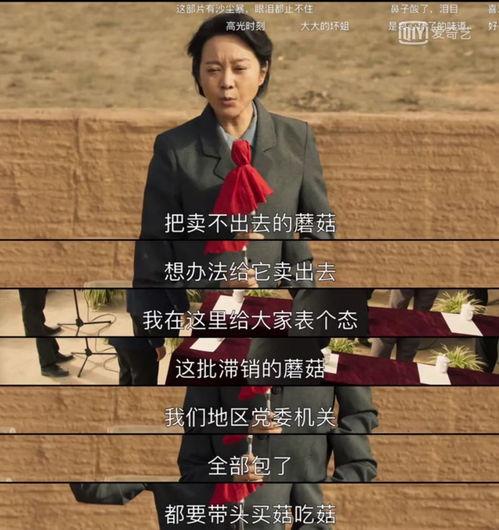 山海情最新爆料,揭秘神秘古墓,探寻千年之谜 第3张 山海情最新爆料,揭秘神秘古墓,探寻千年之谜 第3张