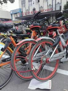 安阳自行车爆料视频最新,揭秘城市交通新现象