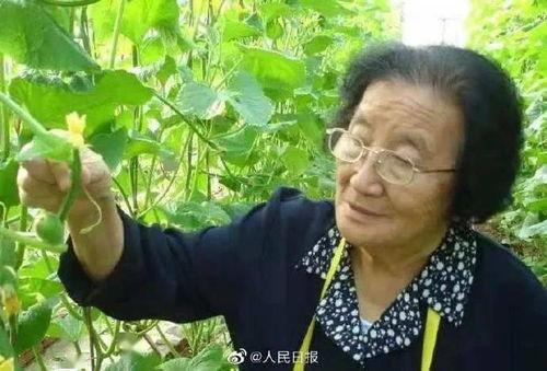 娱乐吃瓜酱善良的人,娱乐吃瓜酱的甜蜜旅程 第3张 娱乐吃瓜酱善良的人,娱乐吃瓜酱的甜蜜旅程 第3张