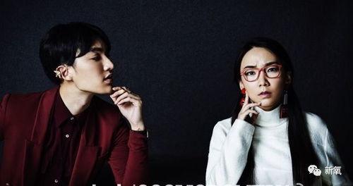 娱乐圈爆料图教程,揭秘明星幕后生活，轻松掌握图片制作技巧