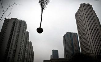 郑州房地产最新爆料,揭秘最新热点项目与价格走势 第3张 郑州房地产最新爆料,揭秘最新热点项目与价格走势 第3张