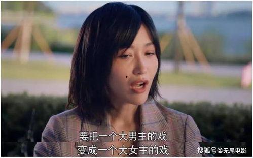 娱乐圈吃瓜搞笑发疯小说