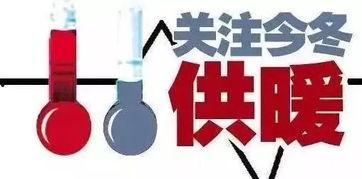 临沂今日爆料最新消息,揭秘神秘事件背后的真相