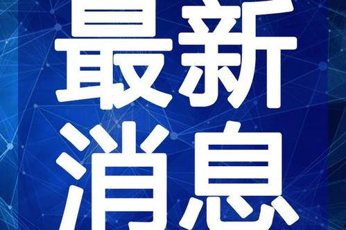有新闻视频了怎么爆料,揭秘事件真相,带你直击新闻现场 第3张 有新闻视频了怎么爆料,揭秘事件真相,带你直击新闻现场 第3张