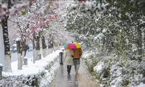 昆明爆料下雪视频播放大全,全网视频播放大全集锦