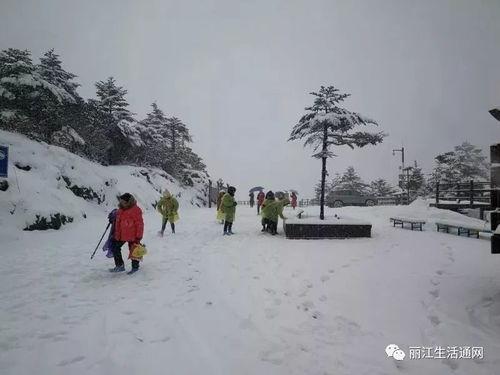 昆明爆料下雪视频播放大全,全网视频播放大全集锦 第2张 昆明爆料下雪视频播放大全,全网视频播放大全集锦 第2张