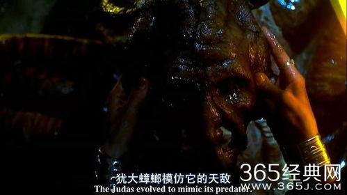 撕裂人2在线观看,狂潮再起，惊悚续集在线惊悚来袭  第2张