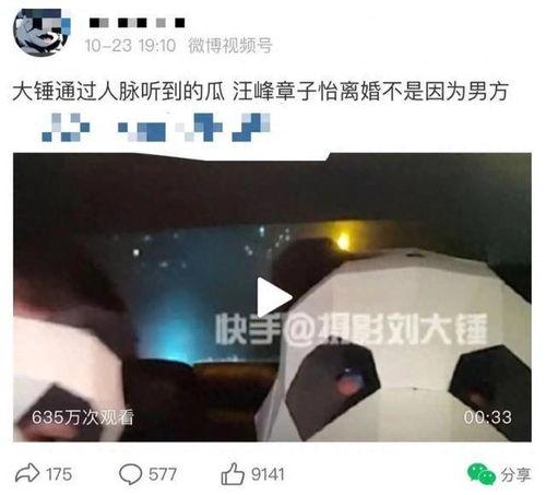 大锤爆料最新消息视频,揭秘视频背后的惊人真相  第3张