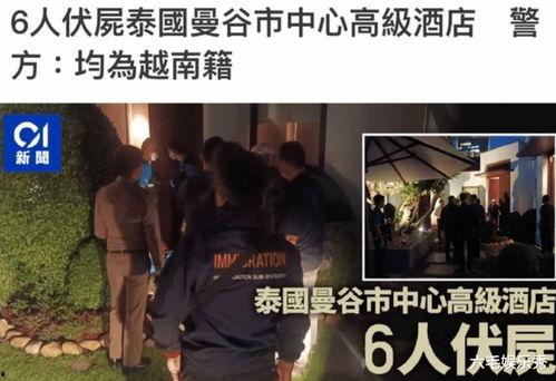 大事件爆料人遇害视频下载,视频下载背后的惊心动魄