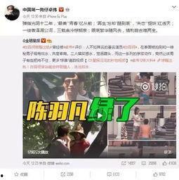 大事件爆料人遇害视频下载,视频下载背后的惊心动魄  第3张