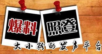 本地新闻爆料任务,揭秘社区最新热点事件